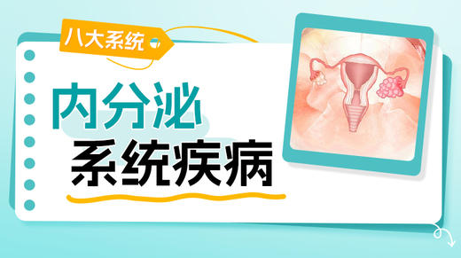 内分泌系统 商品图0