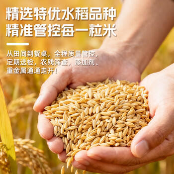 挂绿增城丝苗米 国家地标(软香) 南方籼米 大米30斤 大包装 /粮油调味 /米 /丝苗米 商品图8