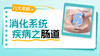消化系统-肠 商品缩略图0