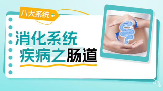 消化系统-肠 商品图0