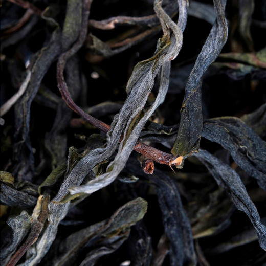 10月26日中午12点【昔归单株】2022年头春头采临沧茶区昔归茶区核心古树原料，500克/箱 商品图3