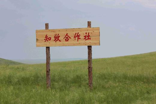 知牧有机羔羊肉 （包邮，代发） 商品图1