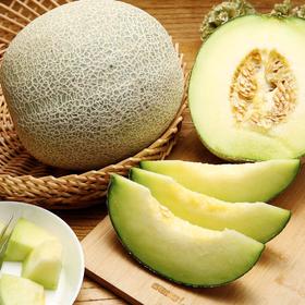 山东网纹瓜【29元购】丨哈密瓜 脆甜软糯 汁水丰盈