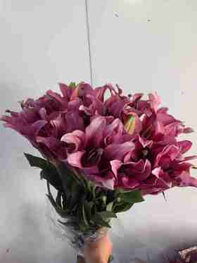 帕拉佐2头百合10支（20朵）