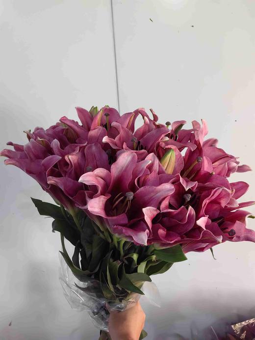 帕拉佐2头百合10支（20朵） 商品图0