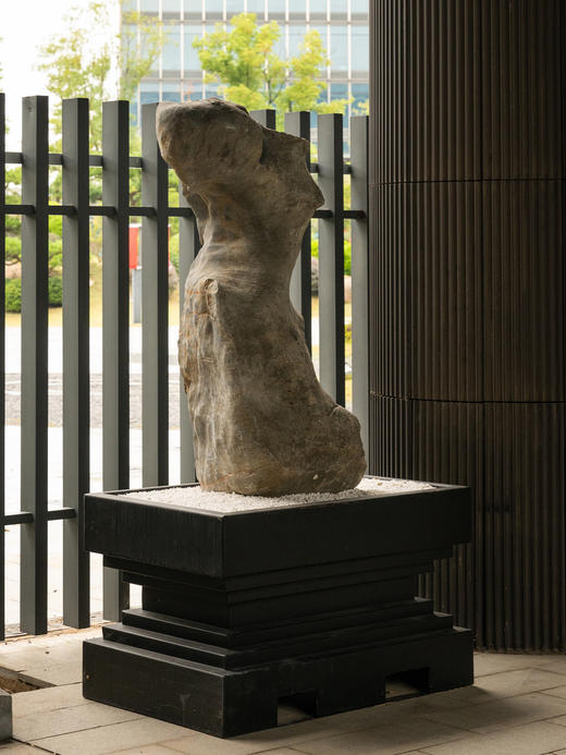 明	太湖石龙形园林赏石 商品图4