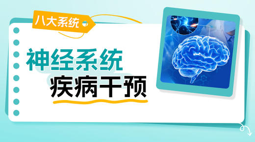 神经系统 商品图0