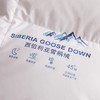 【斌哥优选】恒源祥 西伯利亚进口白鹅绒  高端静音鹅绒被 精选腹部大朵绒 立体填充 被面升级静音 1件充绒量相当于8件羽绒服 抵御西伯利亚的严寒（单被子） 商品缩略图9