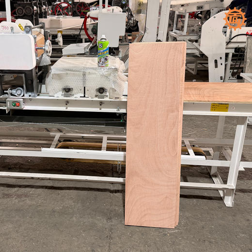 扫皮机 皮子机木板/塑料板 尼龙板 （下单时留言处备注长宽尺寸）支持各种尺寸定制 （快递包邮） 商品图1