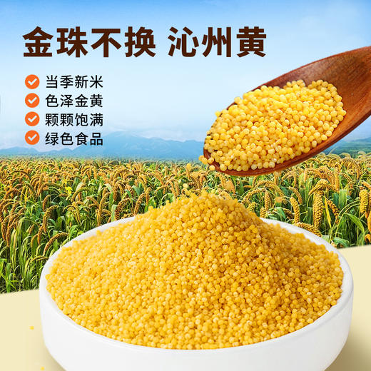 雁门清高山西沁州黄小米2.5kg农家小黄米新米月子粥五谷杂粮早餐营养搭配 商品图2