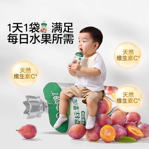 宝宝馋了婴幼儿鲜果泥100g 商品图2