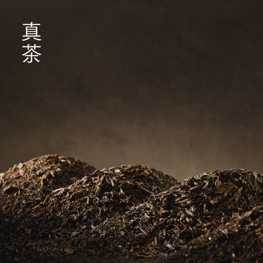 MM 山姆 喜茶 咸酪藏茶牛乳茶奶茶饮料 350ml*12 商品图3