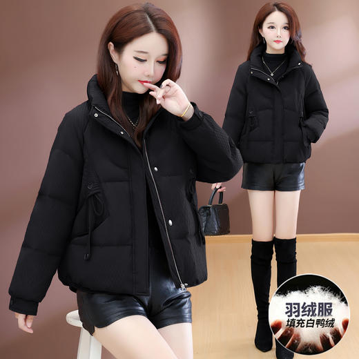 QYM 39D25905-Y保暖羽绒服加厚白鸭绒羽绒服 商品图3