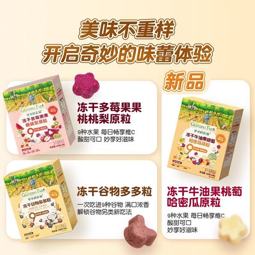 爷爷的农场冻干原粒系列20g 商品图2