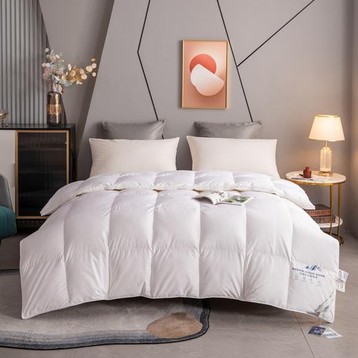 【斌哥优选】恒源祥 西伯利亚进口白鹅绒  高端静音鹅绒被 精选腹部大朵绒 立体填充 被面升级静音 1件充绒量相当于8件羽绒服 抵御西伯利亚的严寒（单被子） 商品图1