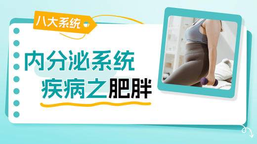 内分泌系统-肥胖 商品图0