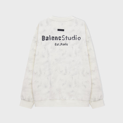 【断码清仓】HX 春秋季圆领卫衣S106533117101/02 商品图3