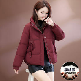 QYM 39D25905-Y保暖羽绒服加厚白鸭绒羽绒服