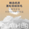 优选丨猫人羽绒蚕丝+膨体德绒热力绒保暖男女装（7A抑菌） 商品缩略图5