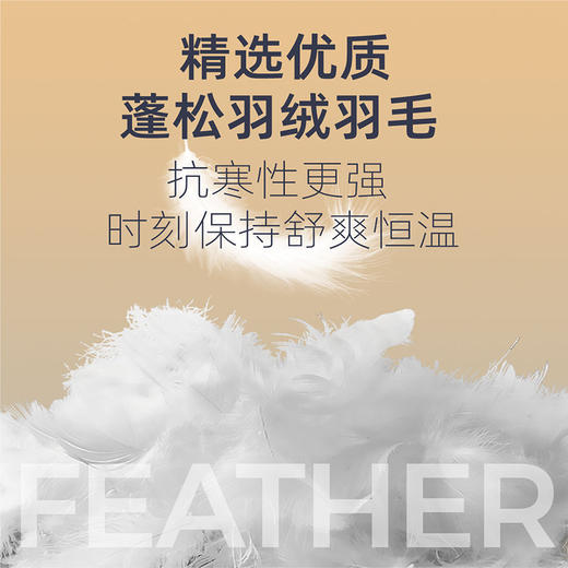 优选丨猫人羽绒蚕丝+膨体德绒热力绒保暖男女装（7A抑菌） 商品图5