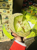 青帝脆甜蜜瓜 一箱2个 商品缩略图12