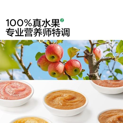 宝宝馋了婴幼儿鲜果泥100g 商品图5
