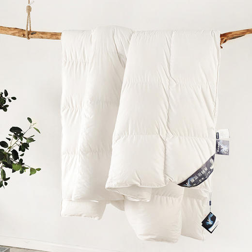 【高端羽绒被】95白鹅绒冬被 五*酒店被子被芯 冬季保暖加厚双人鹅绒被 商品图5