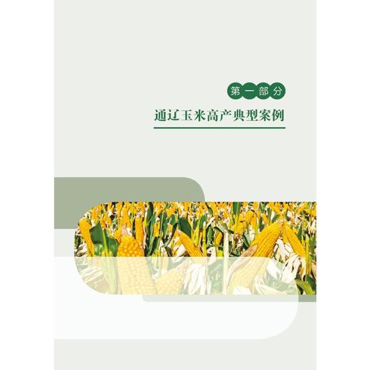 玉米单产提升通辽模式高产典型 商品图1