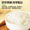 挂绿增城丝苗米 国家地标(软香) 南方籼米 大米30斤 大包装 /粮油调味 /米 /丝苗米 商品缩略图3