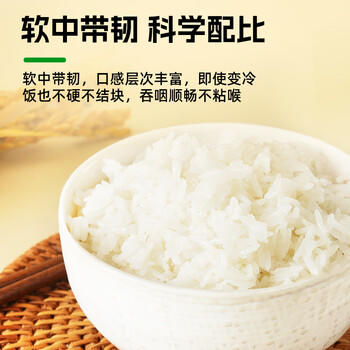 挂绿增城丝苗米 国家地标(软香) 南方籼米 大米30斤 大包装 /粮油调味 /米 /丝苗米 商品图3