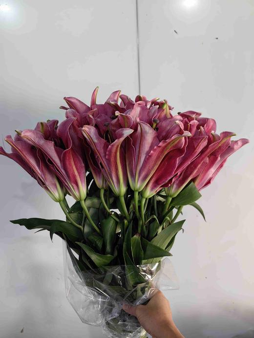 帕拉佐2头百合10支（20朵） 商品图1