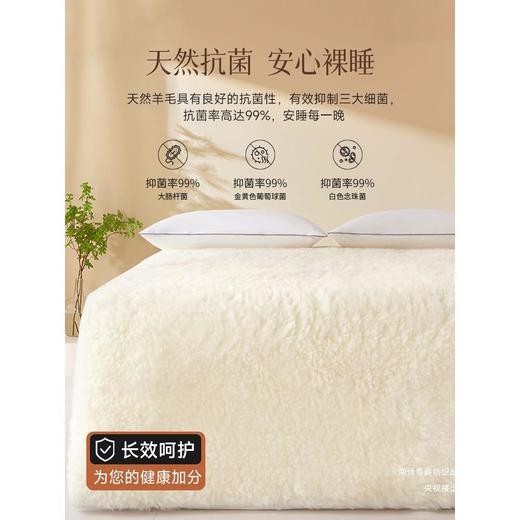 【百分百澳洲羊毛床垫】羊毛床垫床褥冬季羊羔绒毛毯冬天加厚保暖垫被褥子铺底 商品图3