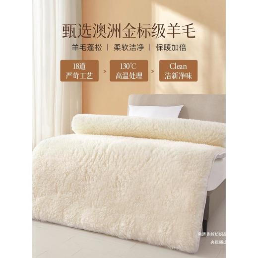 【百分百澳洲羊毛床垫】羊毛床垫床褥冬季羊羔绒毛毯冬天加厚保暖垫被褥子铺底 商品图1