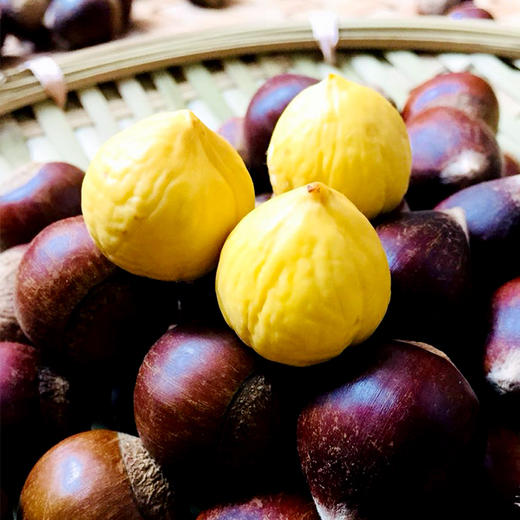 福建建瓯高山锥栗大果 净重3斤装 栗子板栗 商品图2