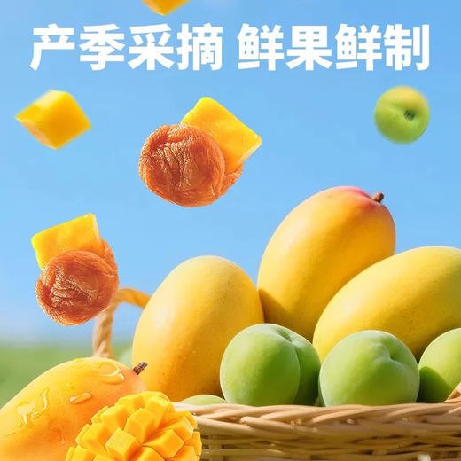 兴隆栈梅有芒果227g 商品图1
