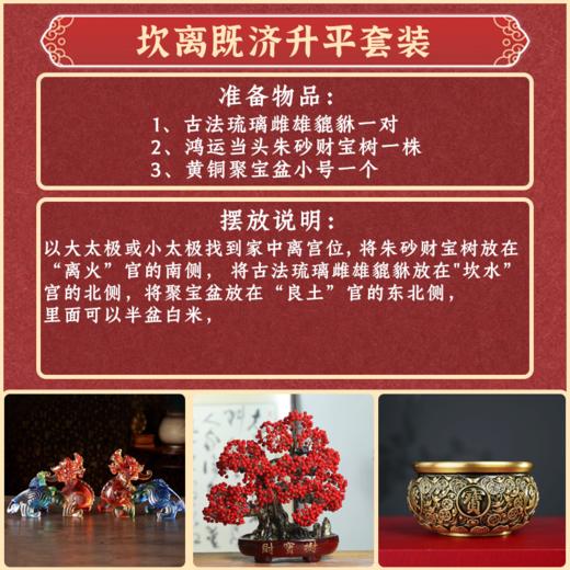 【黄老师推荐】《坎离既济水火升平》套装 商品图0