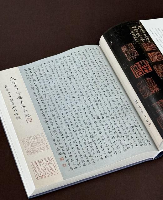 《中国金石家题跋图典》，精装全两册，16开，仲威著，文物出版社2025年3月一版一印，定价：580，售价：430。 商品图8