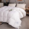 【斌哥优选】恒源祥 西伯利亚进口白鹅绒  高端静音鹅绒被 精选腹部大朵绒 立体填充 被面升级静音 1件充绒量相当于8件羽绒服 抵御西伯利亚的严寒（单被子） 商品缩略图0