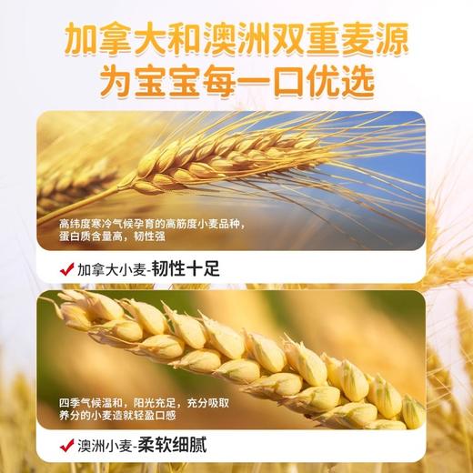 爷爷的农场胚芽营养面粉类 商品图1