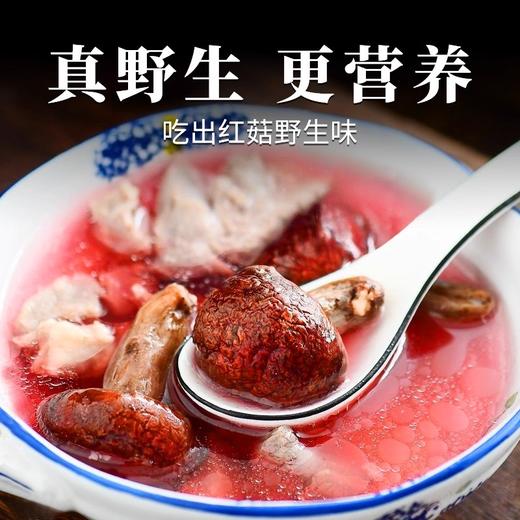 在菌屋 福建武夷山正红蓝底大红菇100g/袋 汤色红艳鲜甜 春日养颜补血汤 商品图4