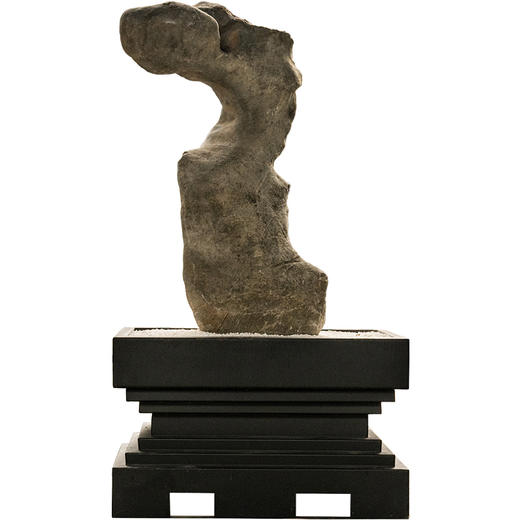 明	太湖石龙形园林赏石 商品图5