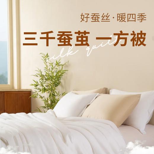 【会呼吸的蚕丝被】睡一次爱上一辈子，蓬松厚实四季好被！ 商品图5