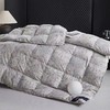 【春上新】【送1000元线下无门槛券】10楼 安睡宝 逸臻西伯利亚进口95%白鹅绒冬被-安德鲁 吊牌价9999～13999元 活动价2899~3699元 商品缩略图1