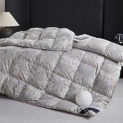 【春上新】【送1000元线下无门槛券】10楼 安睡宝 逸臻西伯利亚进口95%白鹅绒冬被-安德鲁 吊牌价9999～13999元 活动价2899~3699元 商品图1