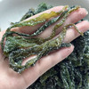 【到手5斤】一根苗 盐渍海带苗 嫩/⁫滑/鲜/爽 可涮火锅/可煲汤 500g/包 商品缩略图2