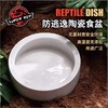 SuperRep 爬宠食盆 爬虫蜥蜴守宫鬃狮 面包虫大麦虫防逃逸陶瓷盆-分销 商品缩略图0