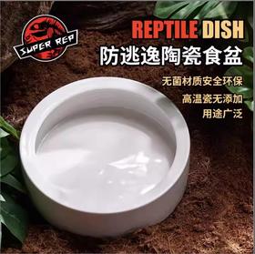 SuperRep 爬宠食盆 爬虫蜥蜴守宫鬃狮 面包虫大麦虫防逃逸陶瓷盆-分销