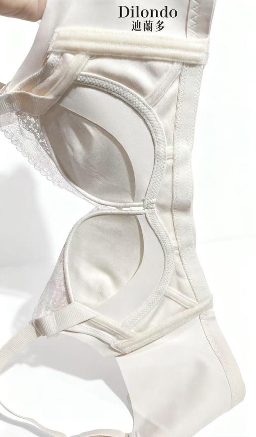 迪兰多中厚无钢圈小胸聚拢文胸舒适透气2118465 商品图3