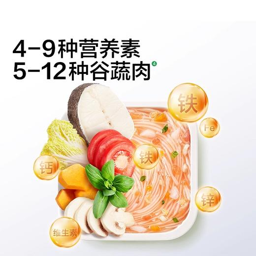 宝宝馋了婴幼儿冲冲粥12月龄16g 商品图1
