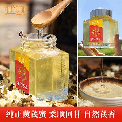 黄芪蜂蜜珍稀药花蜜 多重营养  滋补好蜜 商品图3